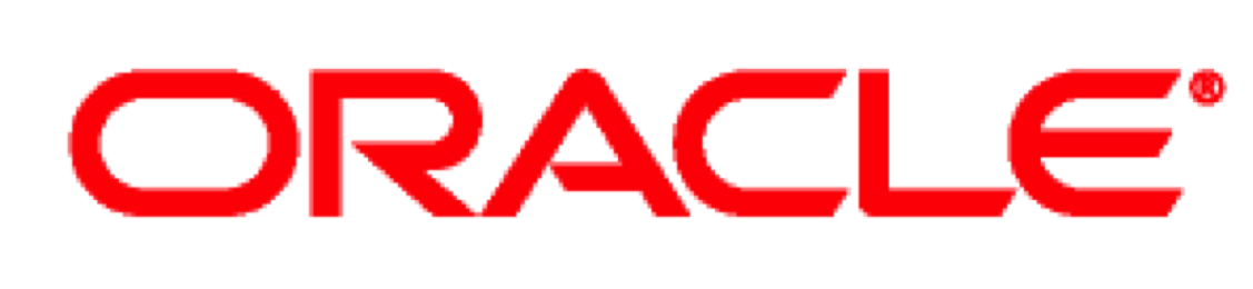 Oracle Logo Block